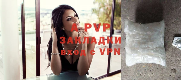 сатива Богданович