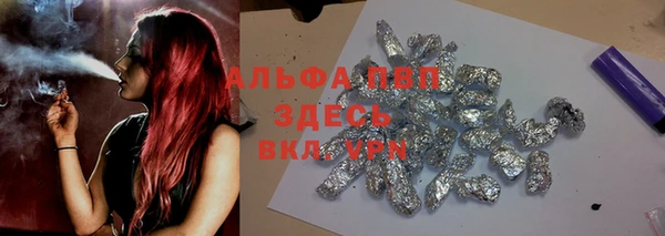 сатива Богданович