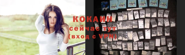 сатива Богданович