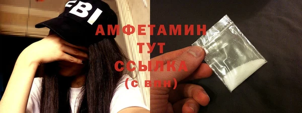 сатива Богданович