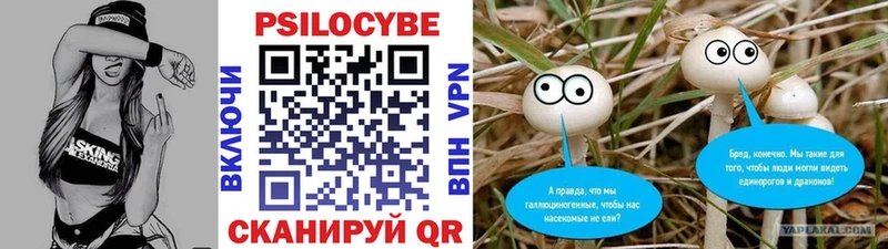 дарк нет Telegram  Коркино  Псилоцибиновые грибы Psilocybe  купить  